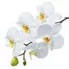 Стол обеденный Танго белый/Орхидея