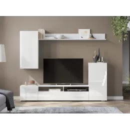 Мебель для гостиной МГС 4 (Белый/Белый глянец)